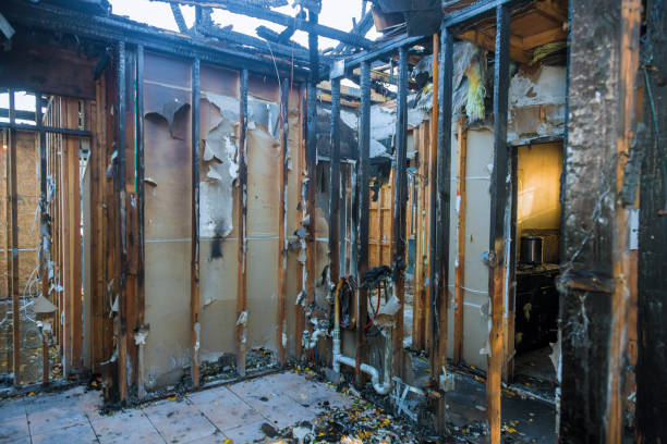 Professional Fire Damage Repair technician working in Luck, WI